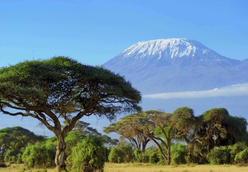 beginners guide to climbing kilimanjaro