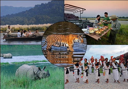 Chitwan National Park: Essential Guide to Wildlife Gem in Nepal