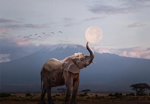 "Climbing Kilimanjaro on a Full Moon 2025: Dates, Tips, and Best Seasons"