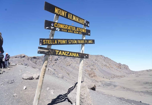 Kilimanjaro success rate