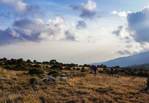 kilimanjaro tours