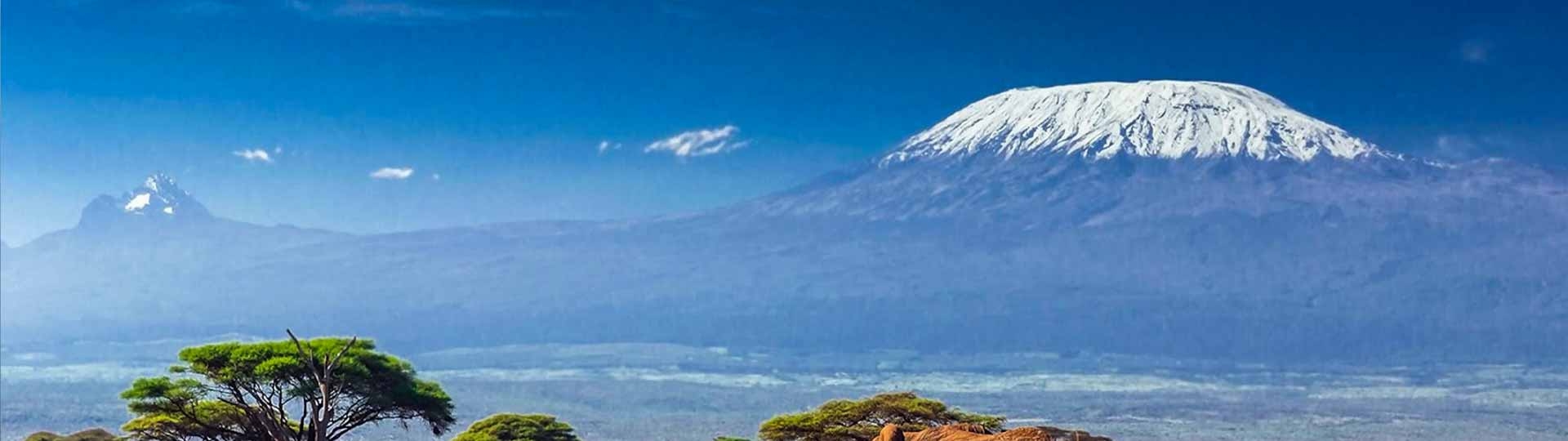 Mount Kilimanjaro Climate Zones: A Journey Through Earth's Climate in One Mountain