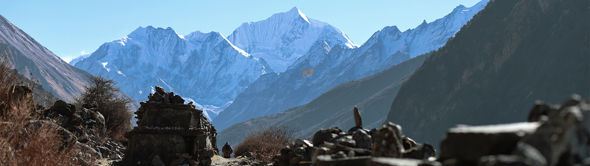 Top 12 Reasons to Choose Langtang Valley Trek
