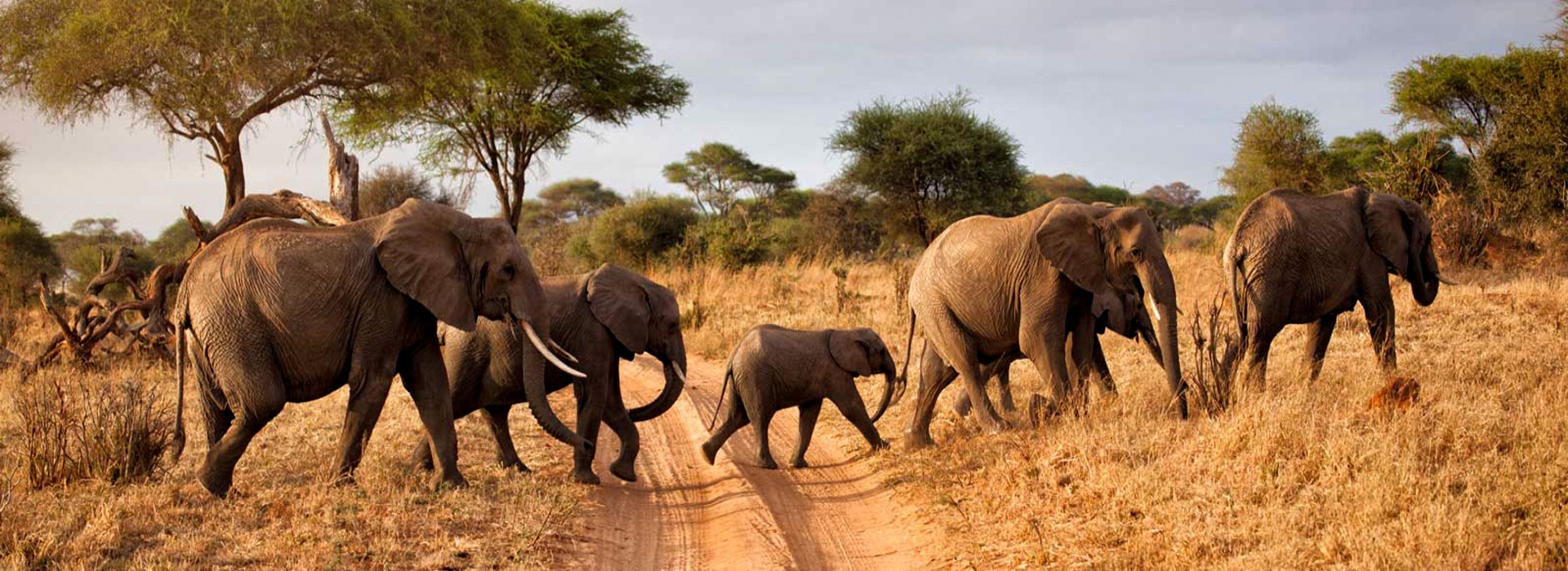 2 day tanzania safari tour