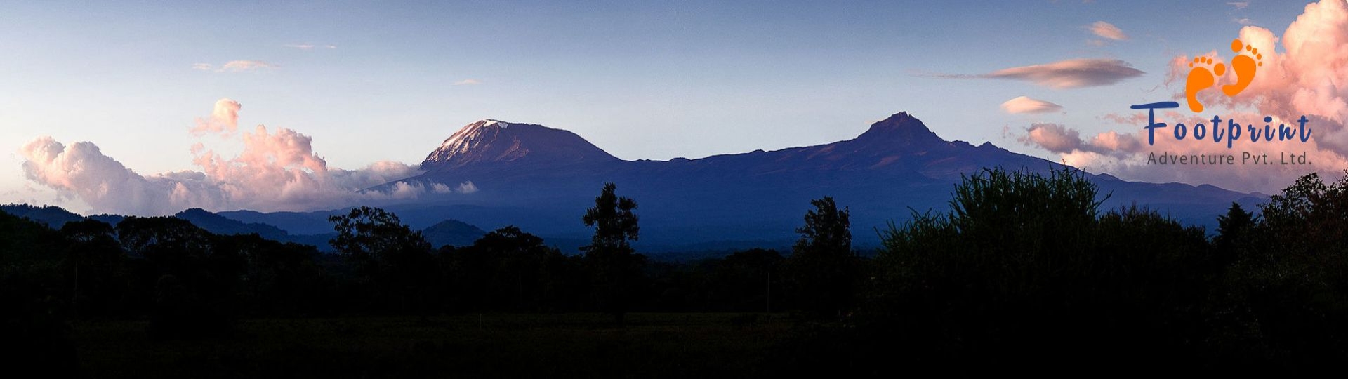 Flora and Fauna of Kilimanjaro