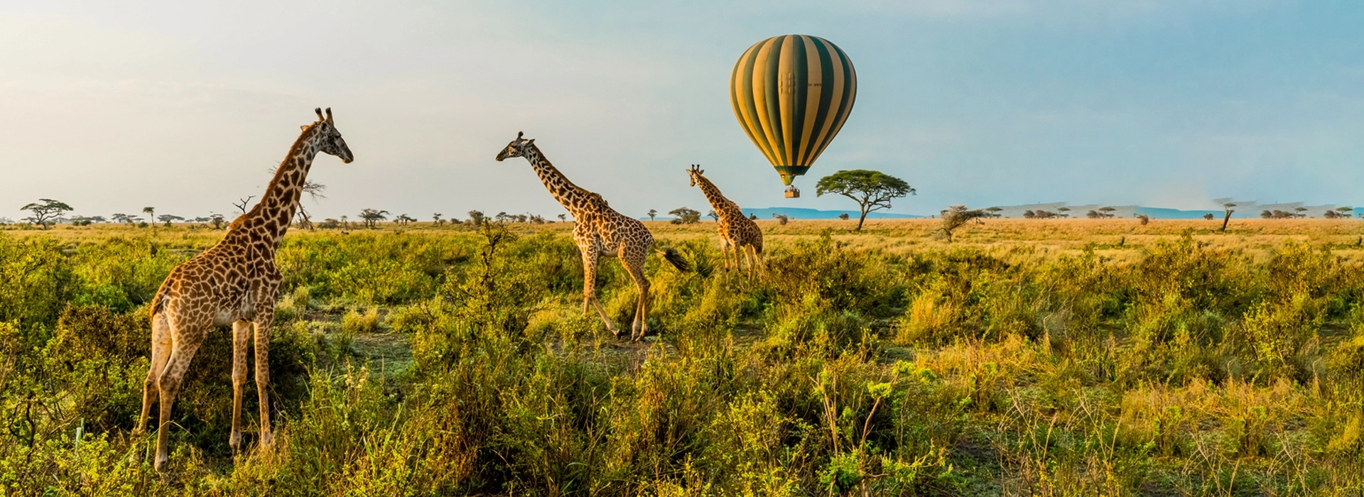 Hot Air Balloon Safari in Tanzania