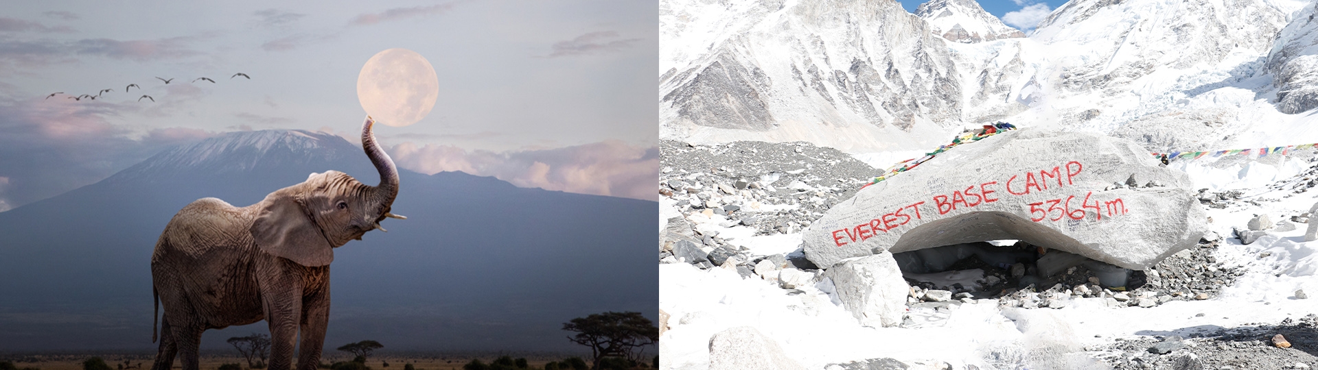 Kilimanjaro vs Everest Base Camp Trek : Which is Harder?