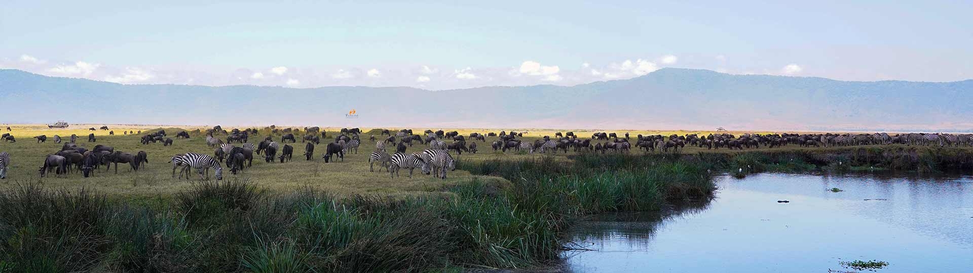 Kilimanjaro Rental Gear: Top Gear for a Successful Trek