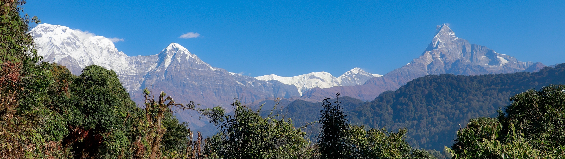 The Complete Guidebook for Mardi Himal Base Camp Trek