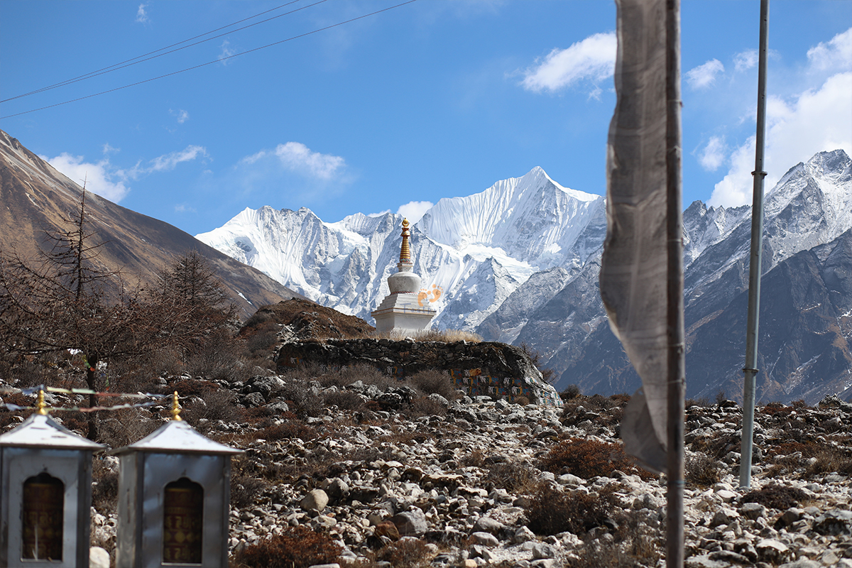 Discover 12 Ultimate Reasons to Choose the Langtang Valley Trek ...