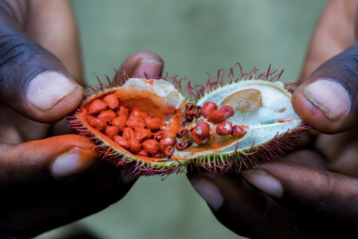 Zanzibar Fruits